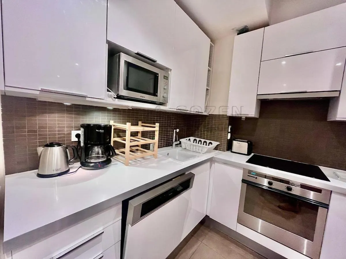 Haussmannien De Luxe Apartment Paris France